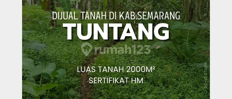 Cheap Wide Land in Tuntang, Semarang Regency 1