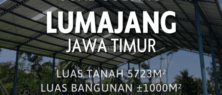 Gudang dan kantor baru gress di pasirian, Lumajang, Jawa Timur 1