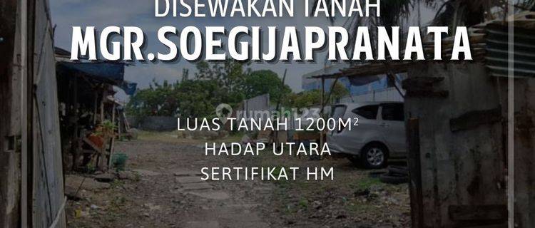 Tanah Tengah Kota di Mgr.Soegijapranata Semarang 1