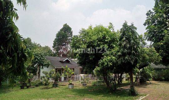 Dijual Tanah Kavling Cimanggis Tapos Depok Luas 5052 M2 Cocok Buat Villa Perumahan Dll 1