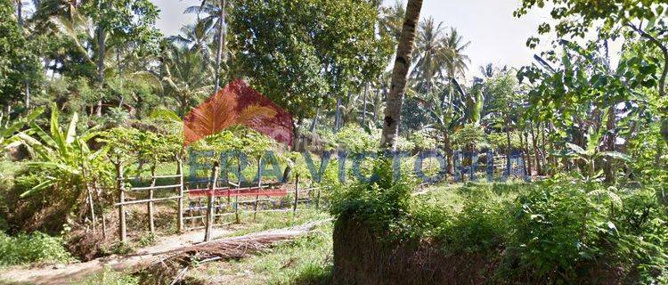 Jl Kamboja, Klatak, Banyuwangi 1