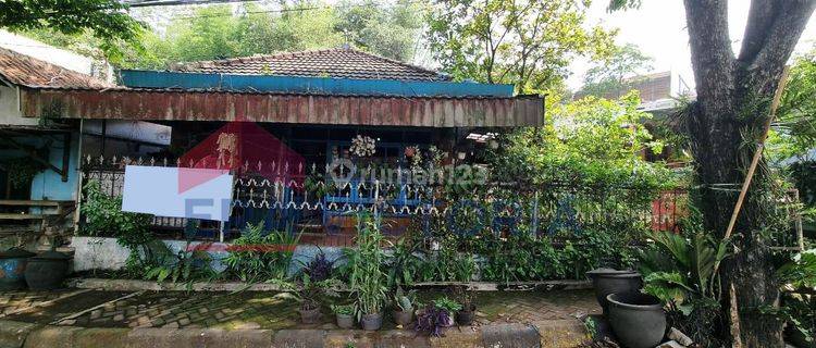 Rumah Asri di Jalan Nasional Kepanjen Cocok Untuk Keluarga Besar  1