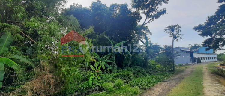 Tanah Dekat Stasiun dan SDIT Al-Misbah Jombang Akses Jalan Raya  1