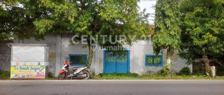 Pekarangan Dan Rumah Kuno Di Astanalanggar Jl. Losari-ciledug 1