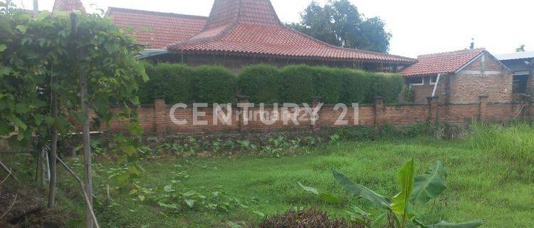 Tanah Sawah Dijual Belakang Rumah Makan Roso Echo  Cirebon 1