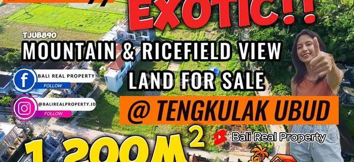 Dijual Tanah Kering Bekas Sawah 12 Are Pinggir Jalan di Sukawati 1