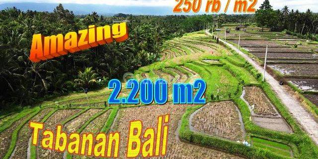 Exotic Yet Affordable Land For Sale 22 Are In Marga Tabanan 1