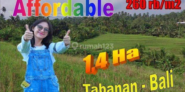 Under Market Price 14,200 Sqm In Selemadeg Timur Tabanan 1