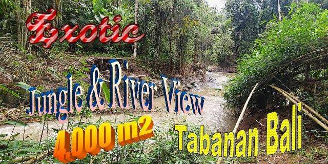 Beautiful Land With Jungle View By The River In Marga Tabanan 1