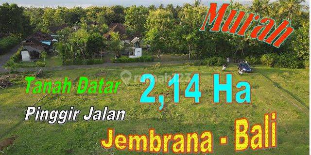 Langka, Dijual Murah 214 Are Kebun Datar Pinggir Jalan 1
