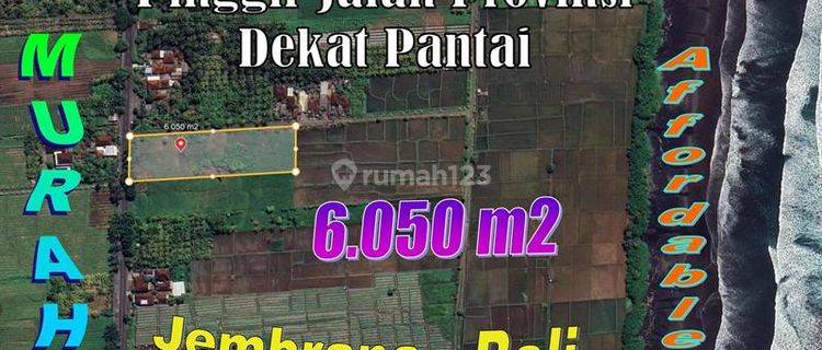 Tanah Kering Bekas Sawah 6,050 M2 di Medewi Jembrana 1