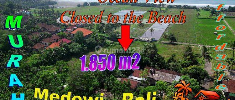 18,5 Are Tanah Murah Area Medewi Jembrana Cocok Untuk Villa 1