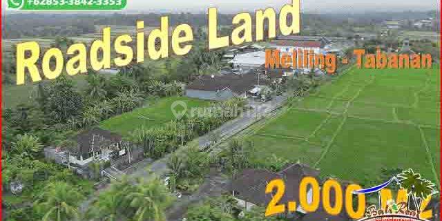 Prospektif 20 Are View Sawah Dan Gunung Area Meliling Kerambitan 1