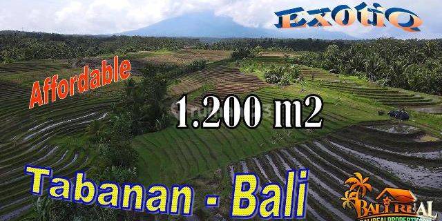 1,200 M2 Tanah Sawah Dominan Datar Akses Jalan Beton di Dalang 1