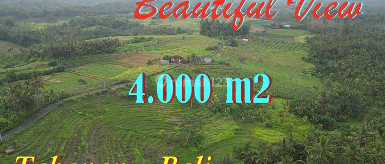 View Sawah dan Gunung, Pinggir Jalan 4,000 m2 di Selemadeg 1