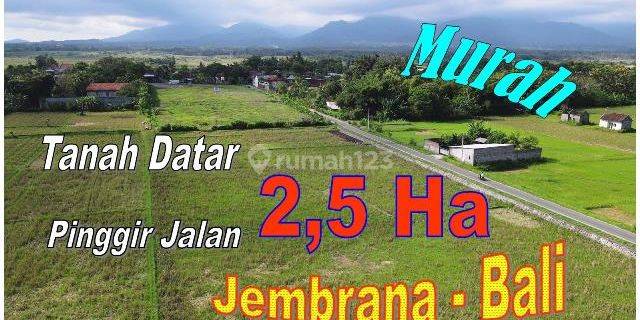 For sale large area of 24,490 m2 dry land ready to build in Jembrana 1