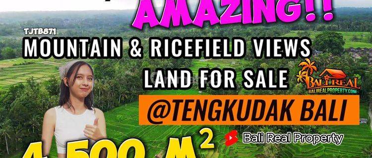 Under Market Price 4,550 Sqm Land Sale In Penebel Tabanan 1