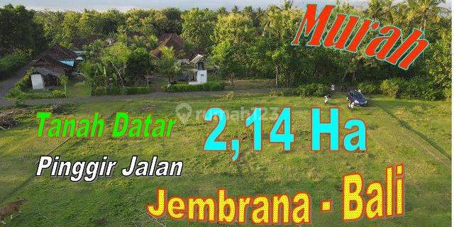 Beautiful Flat Garden Land By Asphalted Road Access In Jembrana 1