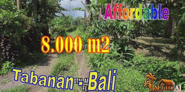 Under Market Price Land For Sale 8,000 Sqm In Pupuan Tabanan 1