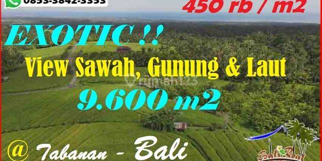 Pinggir Jalan Aspal 9,600 M2 Persawahan Datar 1