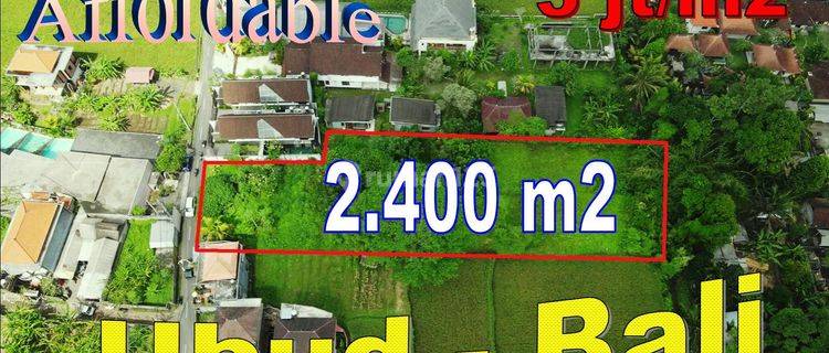 Affordable 2,400 Sqm Land For Sale In Ubud Pejeng 1