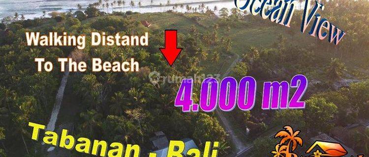 4,000 M2 Ocean View Walking Distance To The Beach In Selemadeg 1