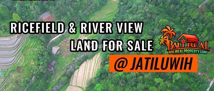 Exotic Yet Affordable Land Sale 60 Ares In Penebel Tabanan 1