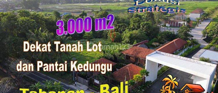 3,000 M2 With Jungle, River And Rice Fields View In Kediri 1