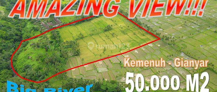 Affordable Land Sale 50,000 sqm in Sukawati Ubud for Investment 1