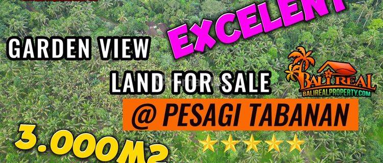 Affordable 3,000 Sqm Land For Sale In Penebel Tabanan 1