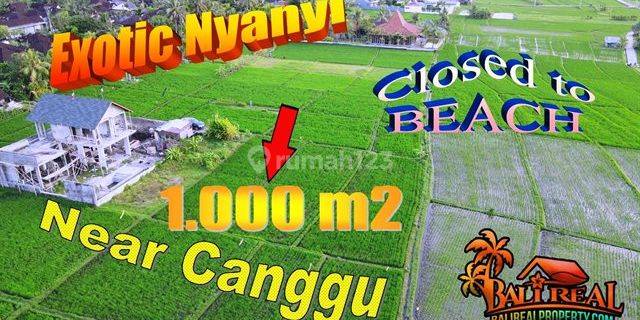 Land For Sale 1,000 M2 Closed To Nyanyi Beach In Kediri 1