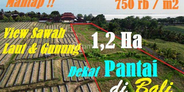 11,700 M2 Bersebelahan Dengan Obyek Wisata Rambutsiwi 1