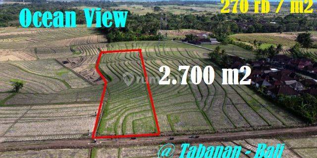 Exotic Yet Affordable 27 Are In Land Sale Selemadeg Timur 1