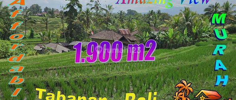 1,950 M2 With Rice Field And Mountain View In Penebel Tabanan  1