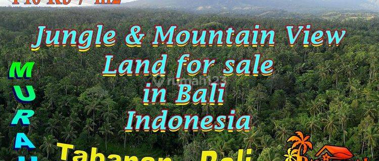 Exotic Yet Affordable 129.8 Are Land For Sale In Penebel Tabanan 1