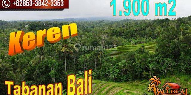 1,900 M2 With Rice Field And Mountain View In Penebel Tabanan 1