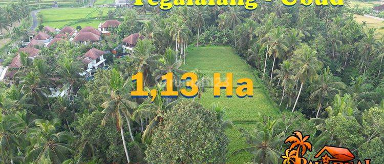 Exotic Yet Affordable Land For Sale 113 Are In Ubud Tegalalang 1