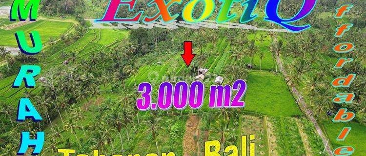 3,000 M2 With Rice Fields And Mountain View In Baturiti Tabanan 1