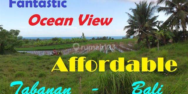 Beautiful Rice Fields, Mountain And Ocean View In Tabanan 1