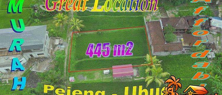 445 M2 Tanah Kecil Untuk Villa Kawasan Pejeng  1