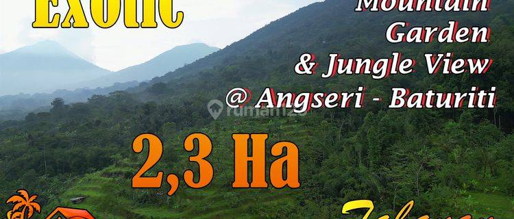 Beautiful Jungle, Hill, Mountain And City View In Angseri 1