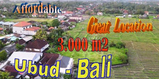 3,000 M2 With Rice Fields And Mountain View In Ubud 1