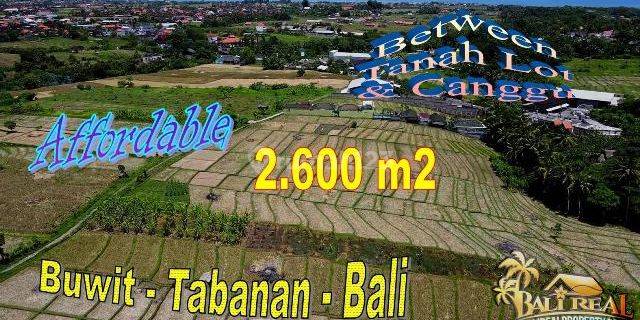 Exotic Yet Affordable 26 Are Land For Sale In Kediri, Tabanan 1