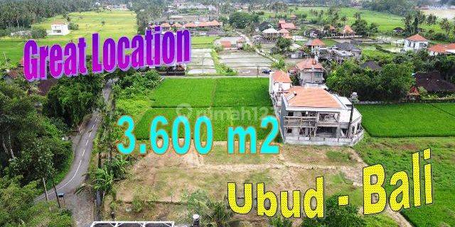 3,600 M2 With Rice Fields And Mountain View In Sukawati Ubud 1