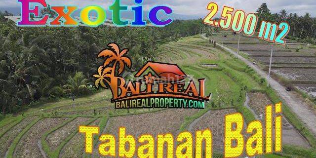 2,500 M2 With Rice Field, Mountain And Jungle View In Marga 1