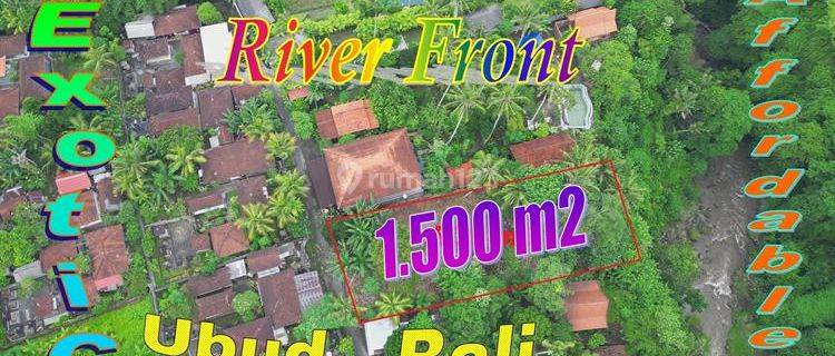 Affordable Land For Sale 1,500 Sqm In Sukawati Ubud 1