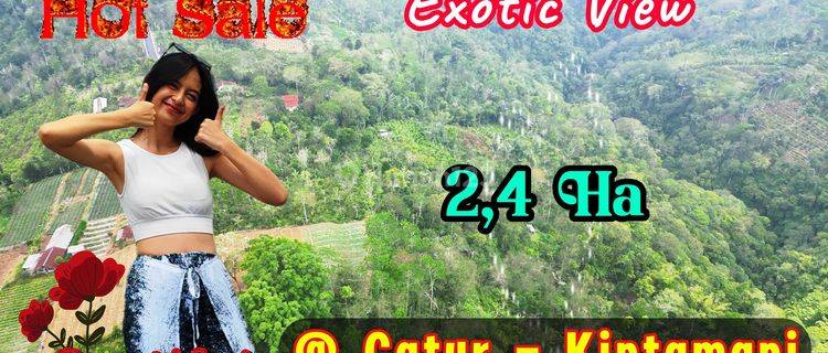 Exotic Land For Sale In Catur Plaga Not Far From Batur Lake 1