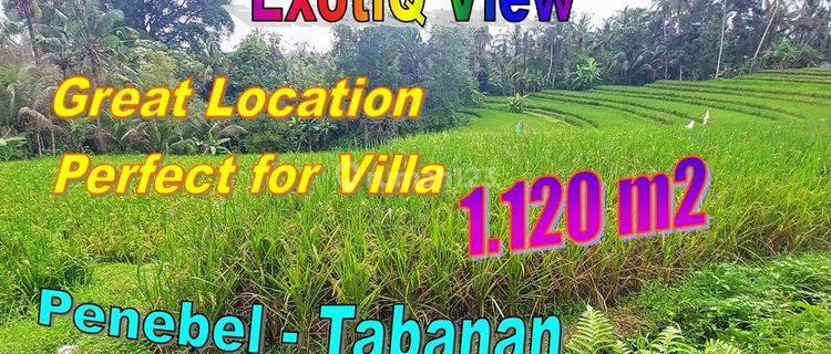 Affordable 1,120 Sqm In Penebel Tabanan, Concreted Car Access 1