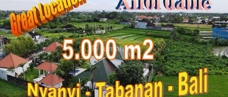 Exotic Yet Affordable 50 Are Land Sale In Kediri Tabanan 1