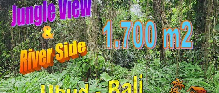 1,700 M2 With By The River With Jungle View In Sukawati Ubud 1